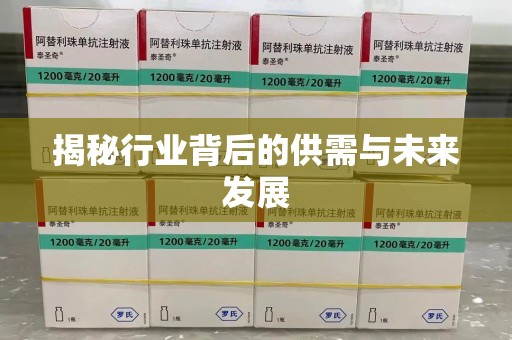临沂揭秘行业背后的供需与未来发展
