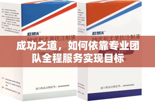临沂成功之道，如何依靠专业团队全程服务实现目标