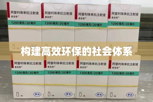 临沂构建高效环保的社会体系