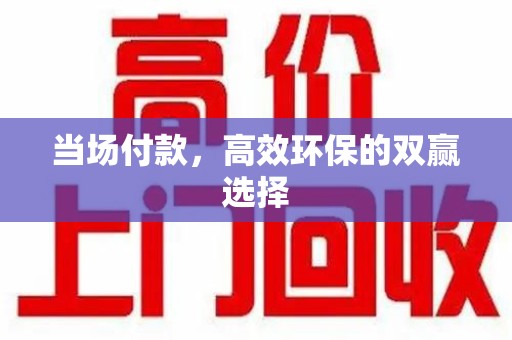 临沂当场付款，高效环保的双赢选择