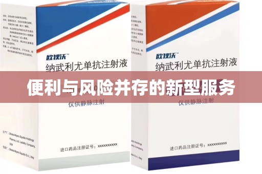 临沂便利与风险并存的新型服务