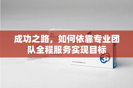 临沂成功之路，如何依靠专业团队全程服务实现目标