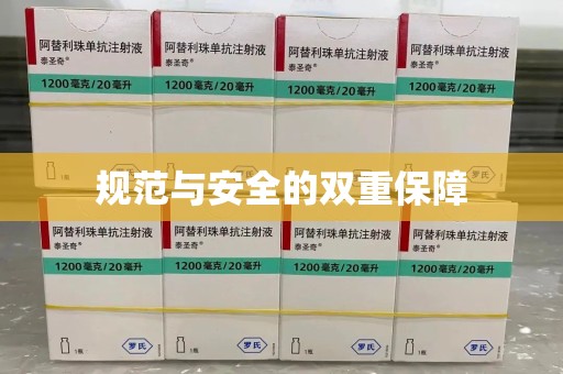 临沂规范与安全的双重保障