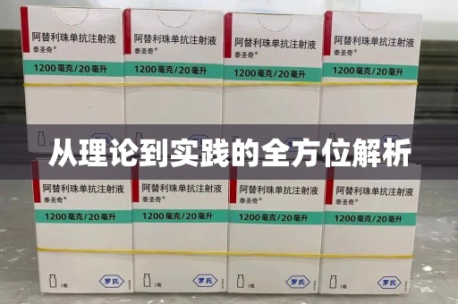 临沂从理论到实践的全方位解析